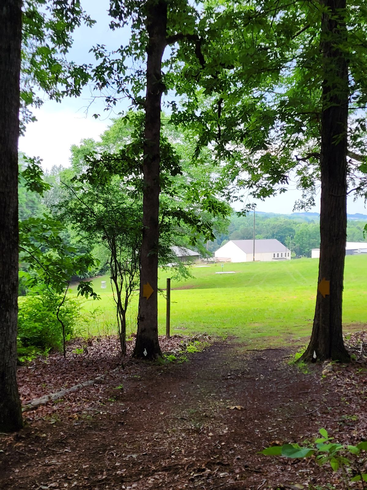 Hole 11