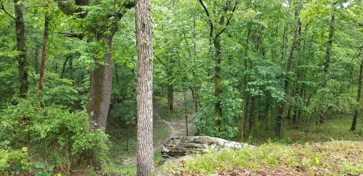 Great elevation changes offer great change ups in course play