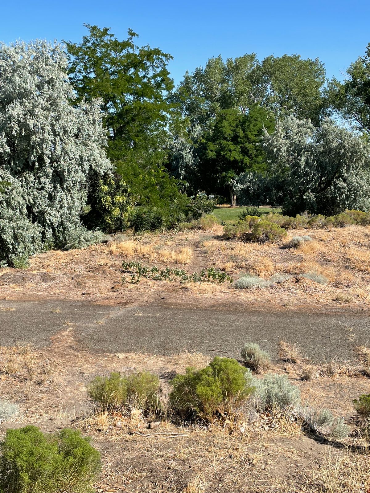 Hole 16
