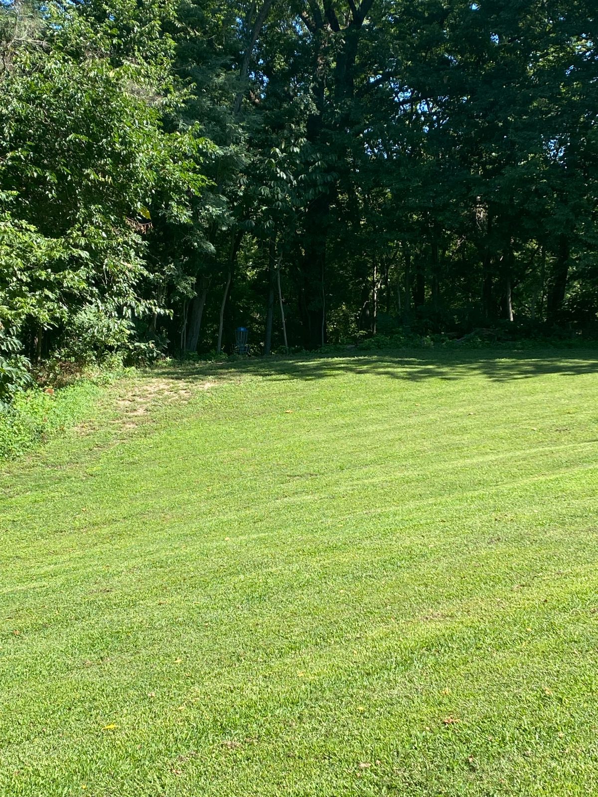 11 fairway