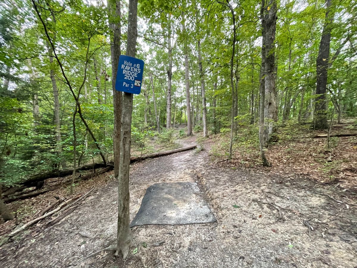 Hole 6 tee