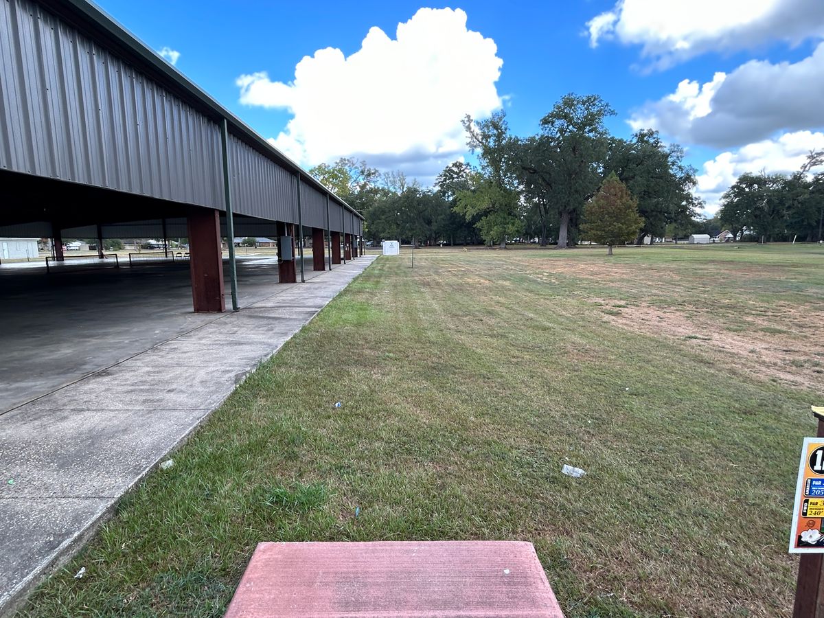 Hole 12 Fairway