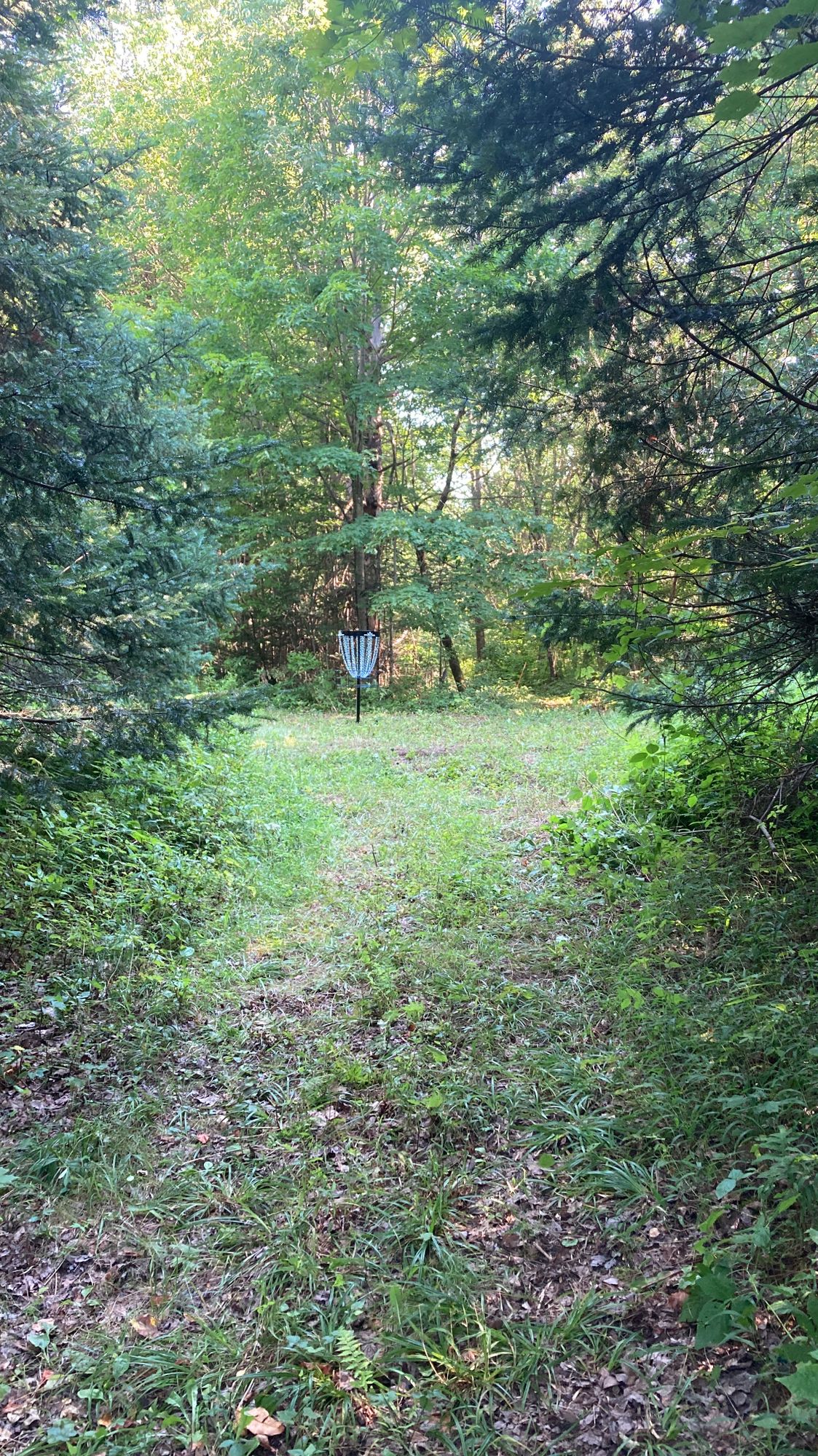 Hole 8