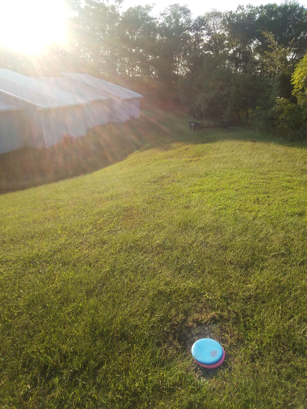 Hole 3 teepad