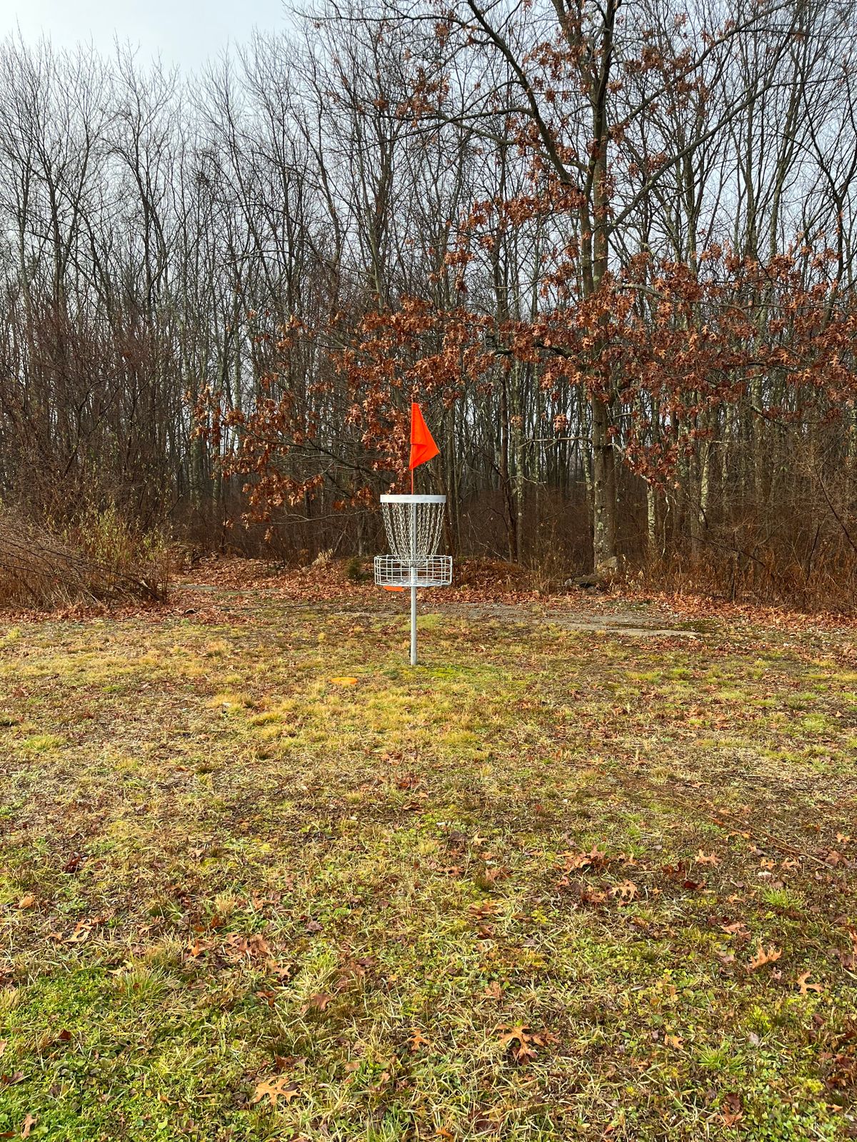 Hole 5