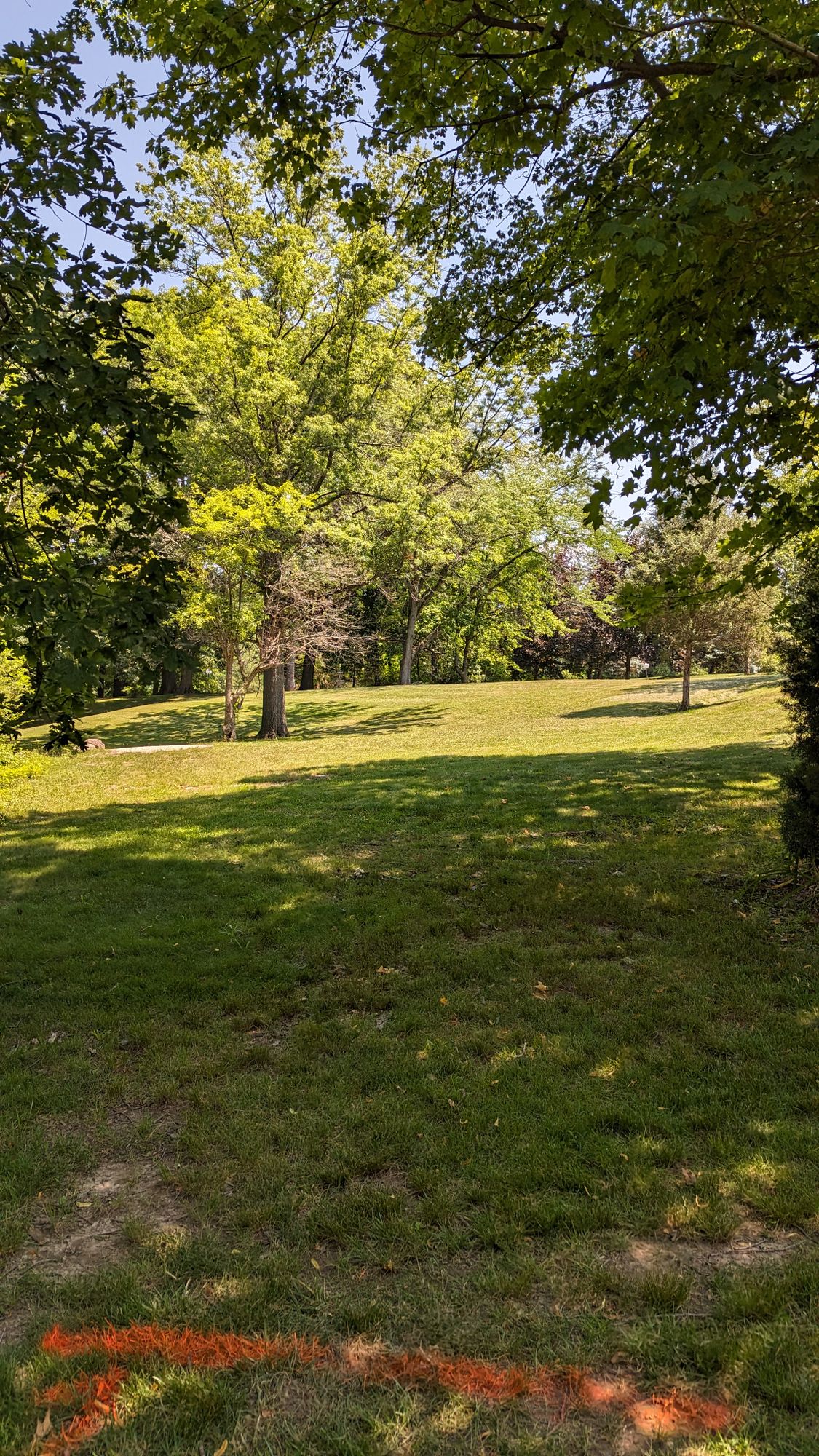 Hole 8 Tee