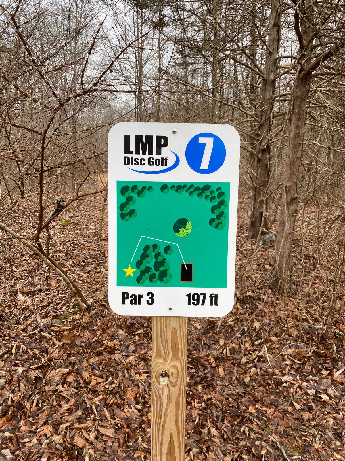 Hole 7
