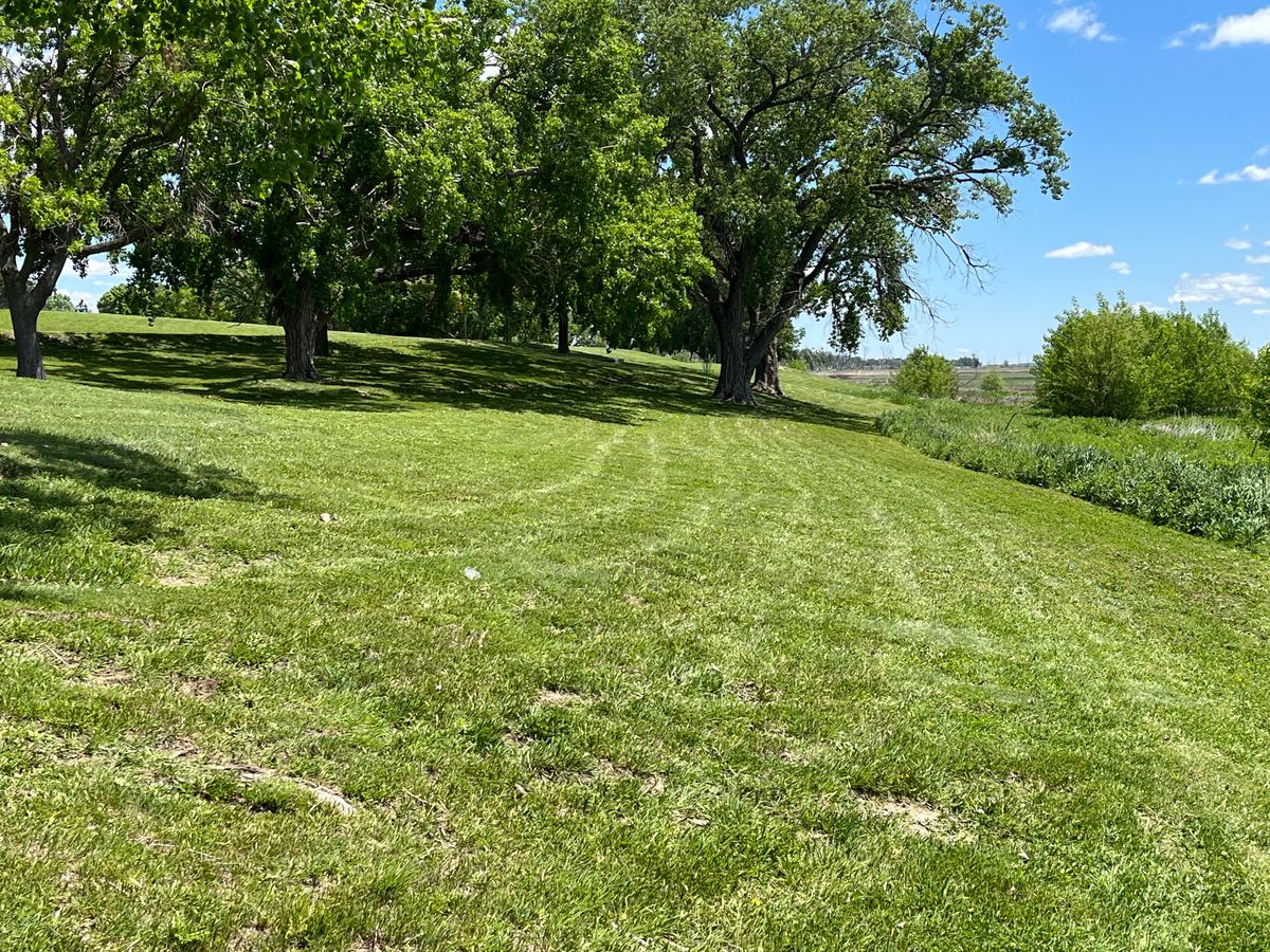 Hole #2 from the teebox. Basket is between the 2 large cottonwood trees in the middle of picture.