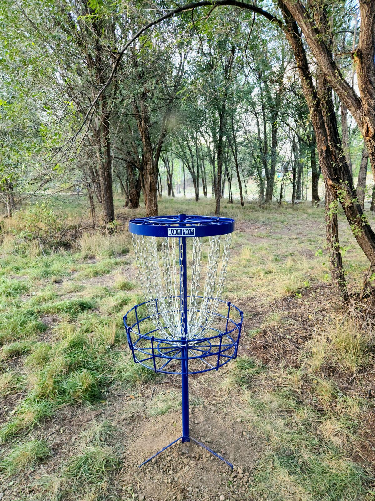 Hole 2 lookin towards the tee box.