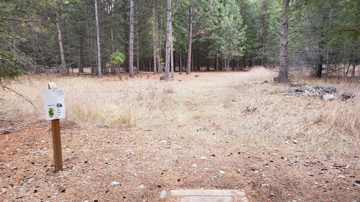 Tee pad hole 10