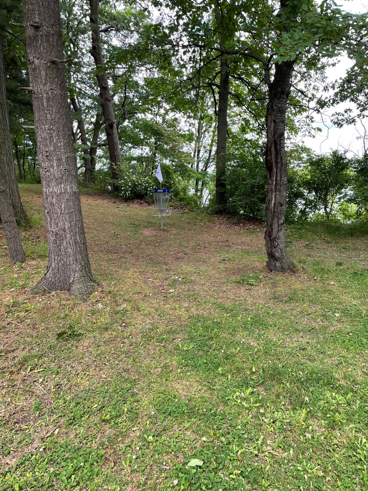 Hole 1 Basket