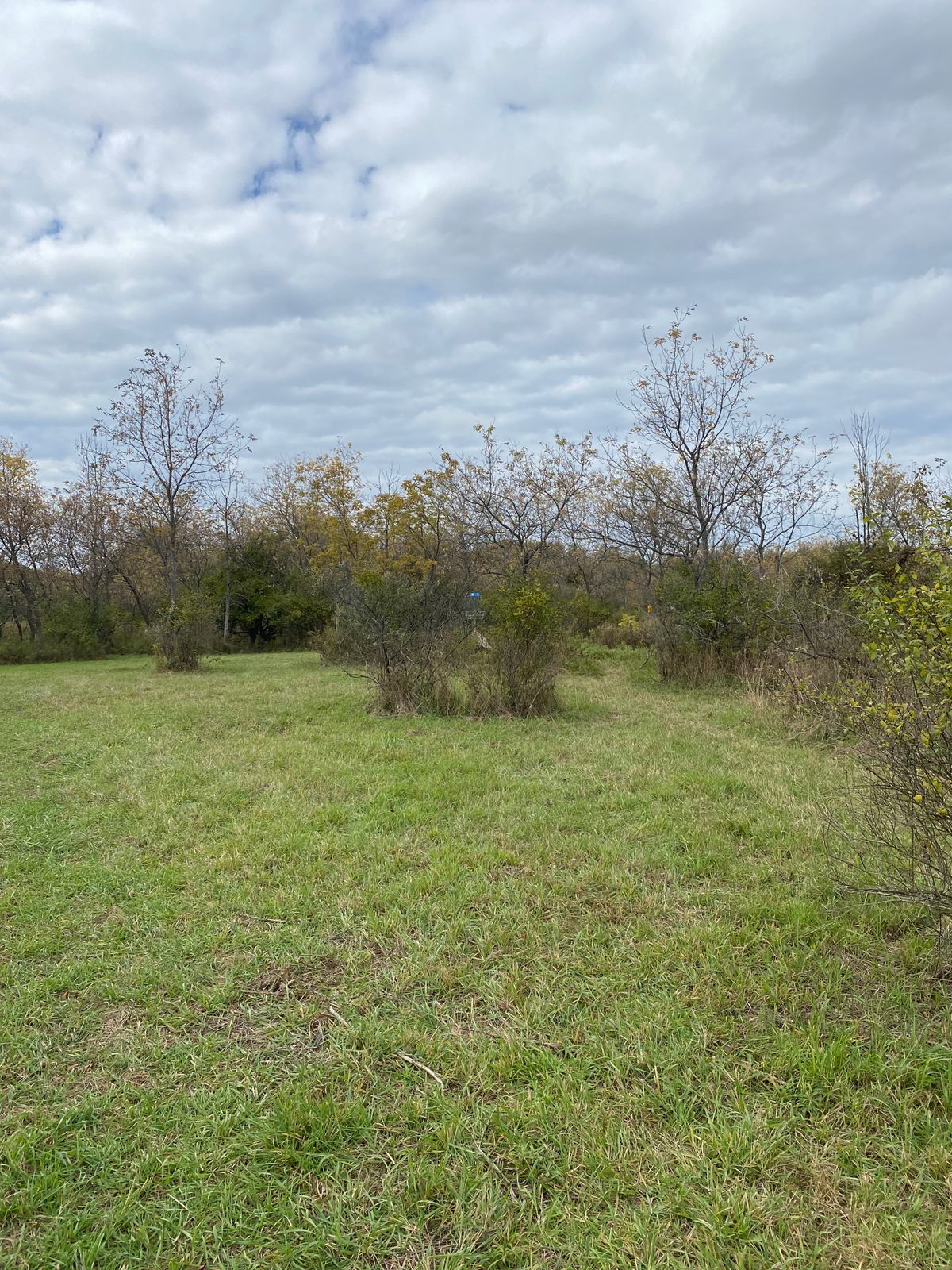 View of hole 15 fairway