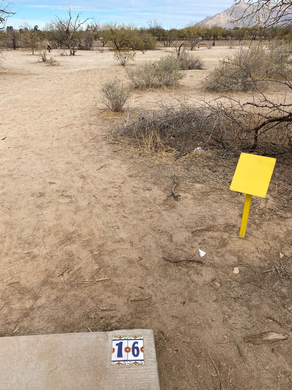 Each tee is well marked by both color and number.
