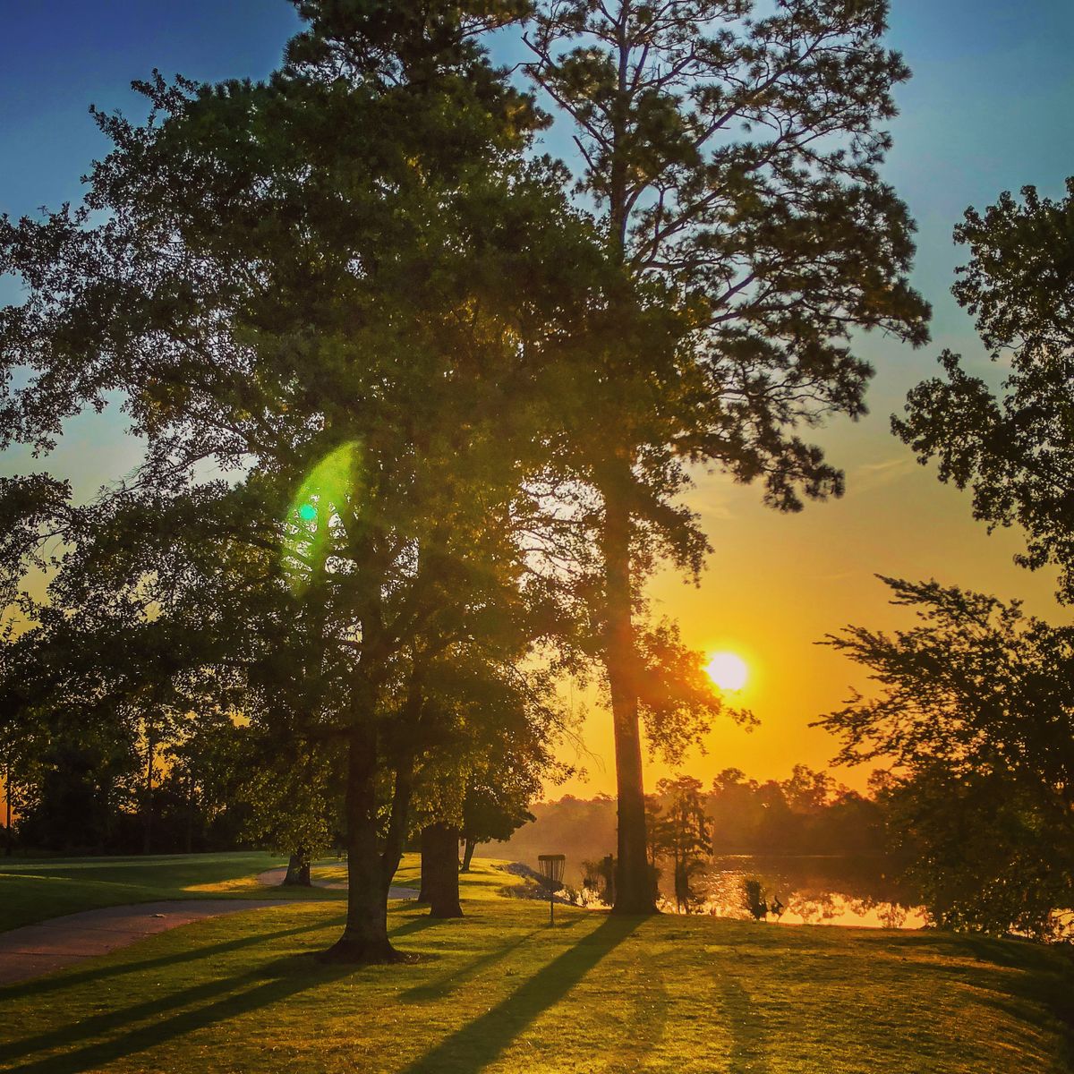 Sunrise Arrowhead