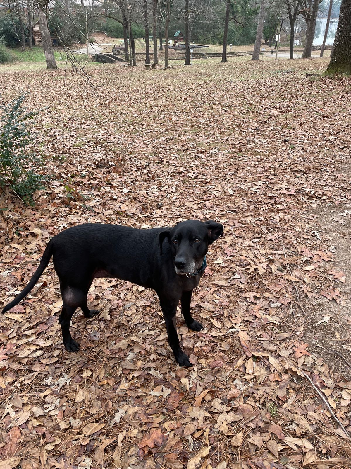 Hole6: Queen Elizabeth