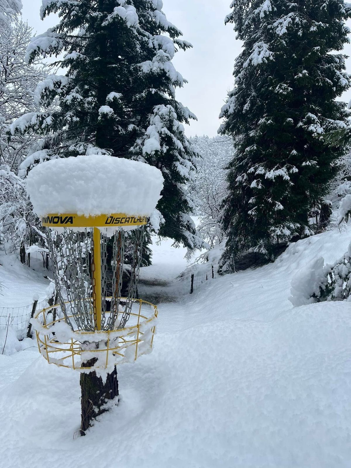 Winter Hole 10
