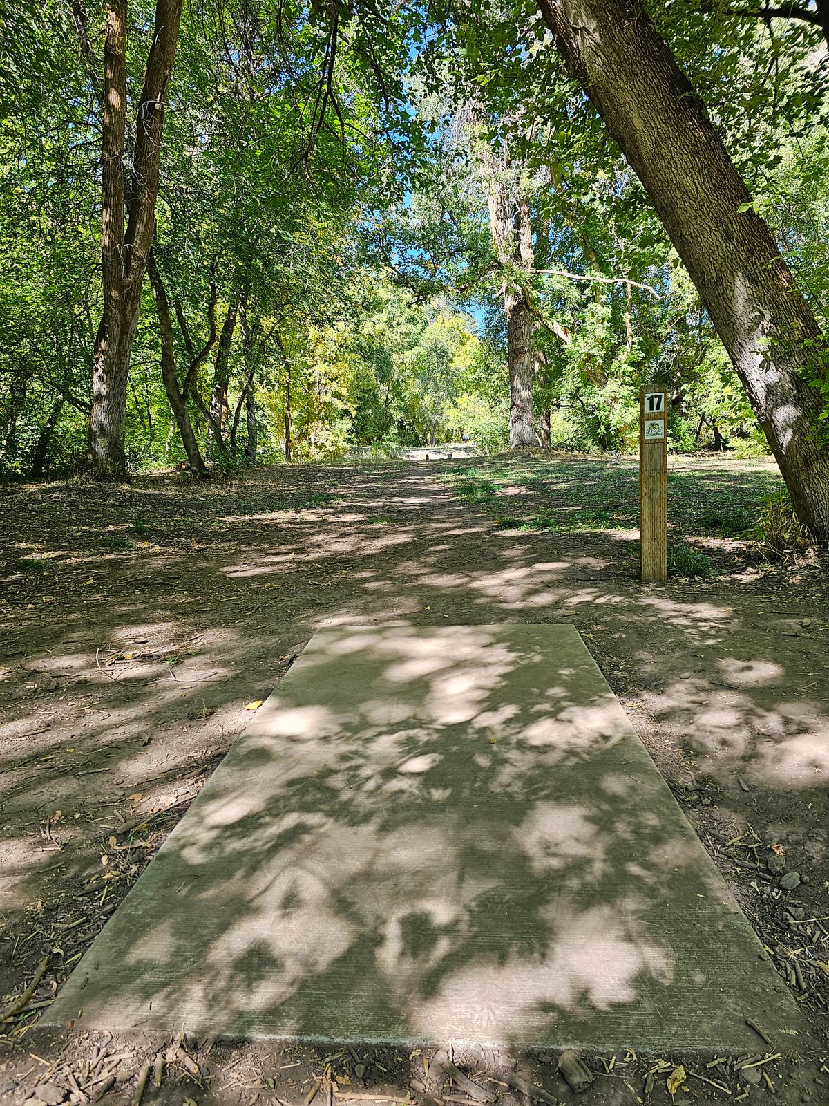 Tee Pad #17