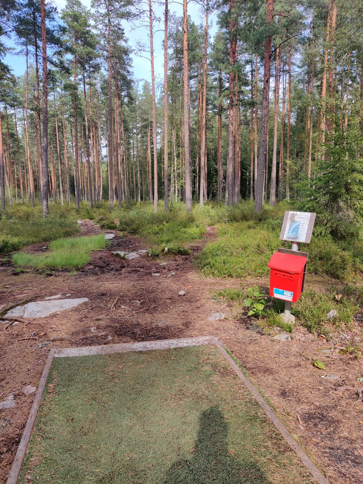 Väylä #11