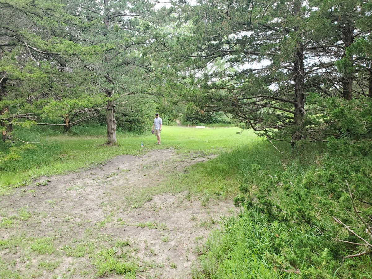 Hole 15. View back to the tee from the elbow before the tunnel.