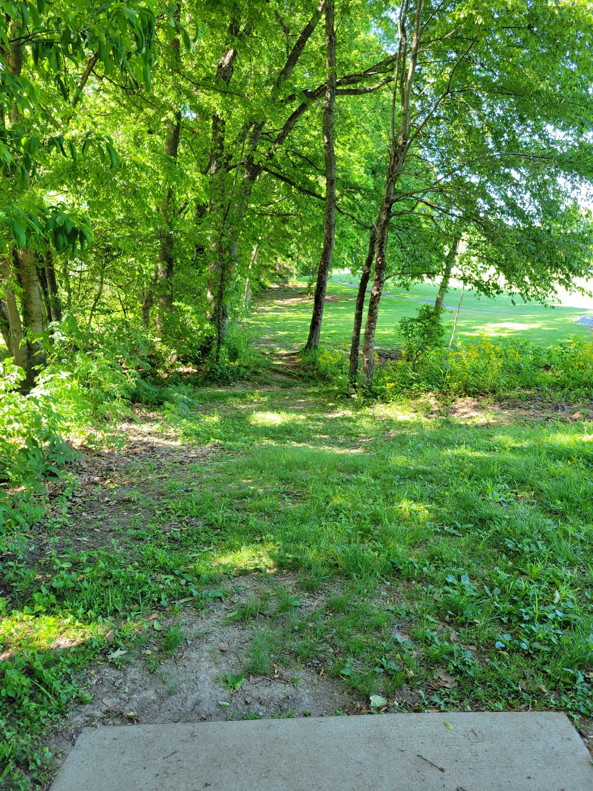 10 fairway, uphill tunnel. Double MANDO between the trees.  OB path right.