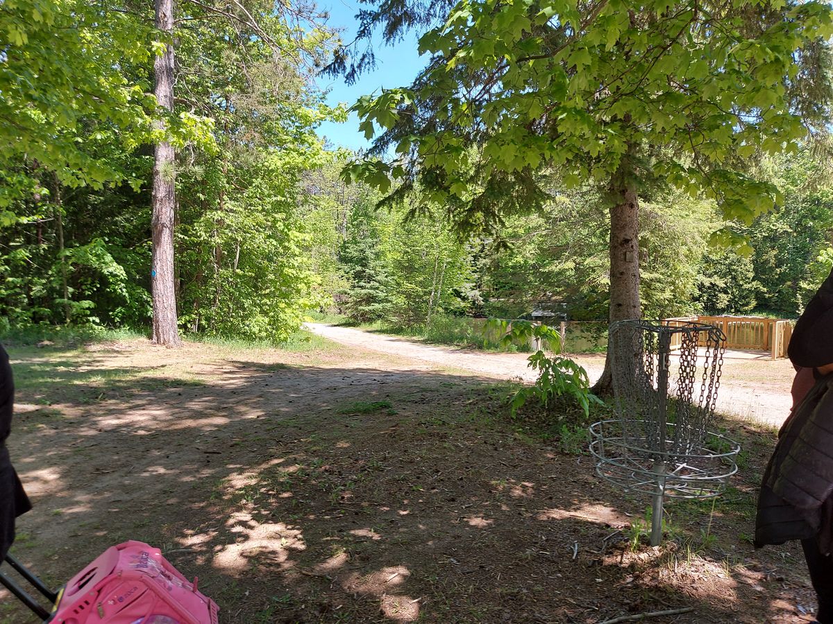 Reverse back up the fairway on hole  9🍁🌳🍁🌳🍁