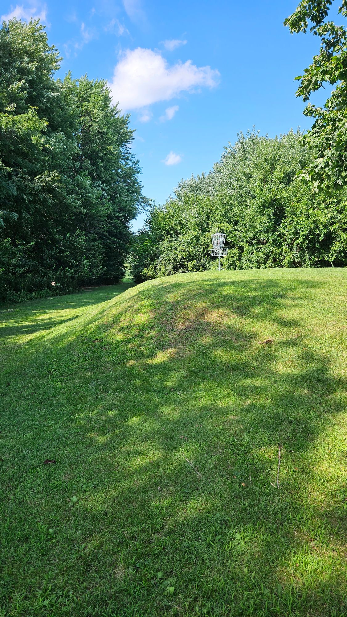 Hole 5 Basket