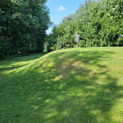 Hole 5 Basket