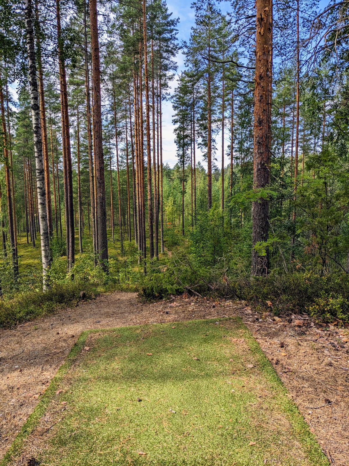 6. väylä
