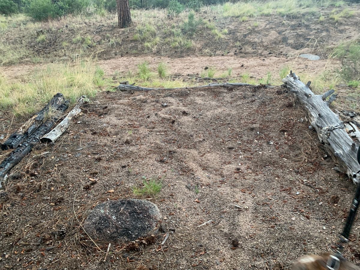 Tee box 4