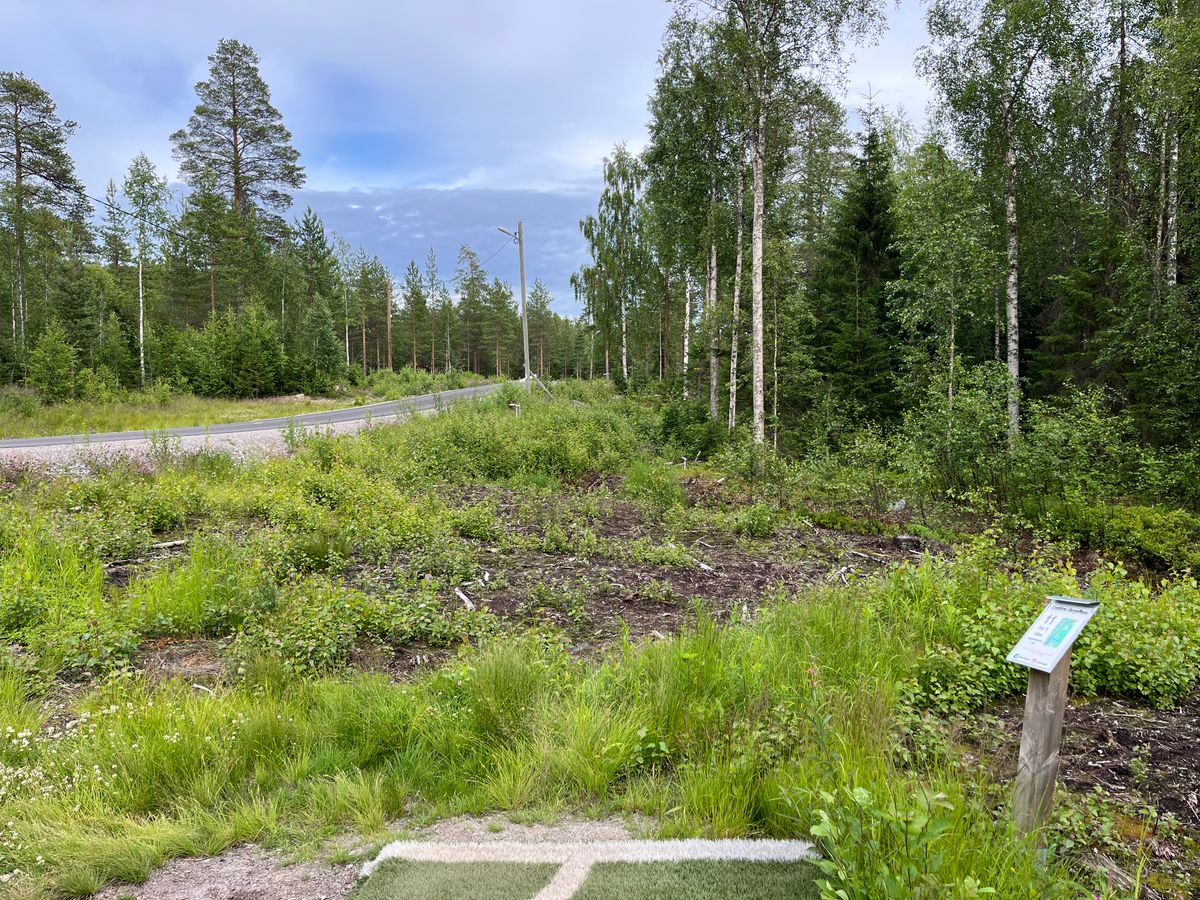 Hål 11