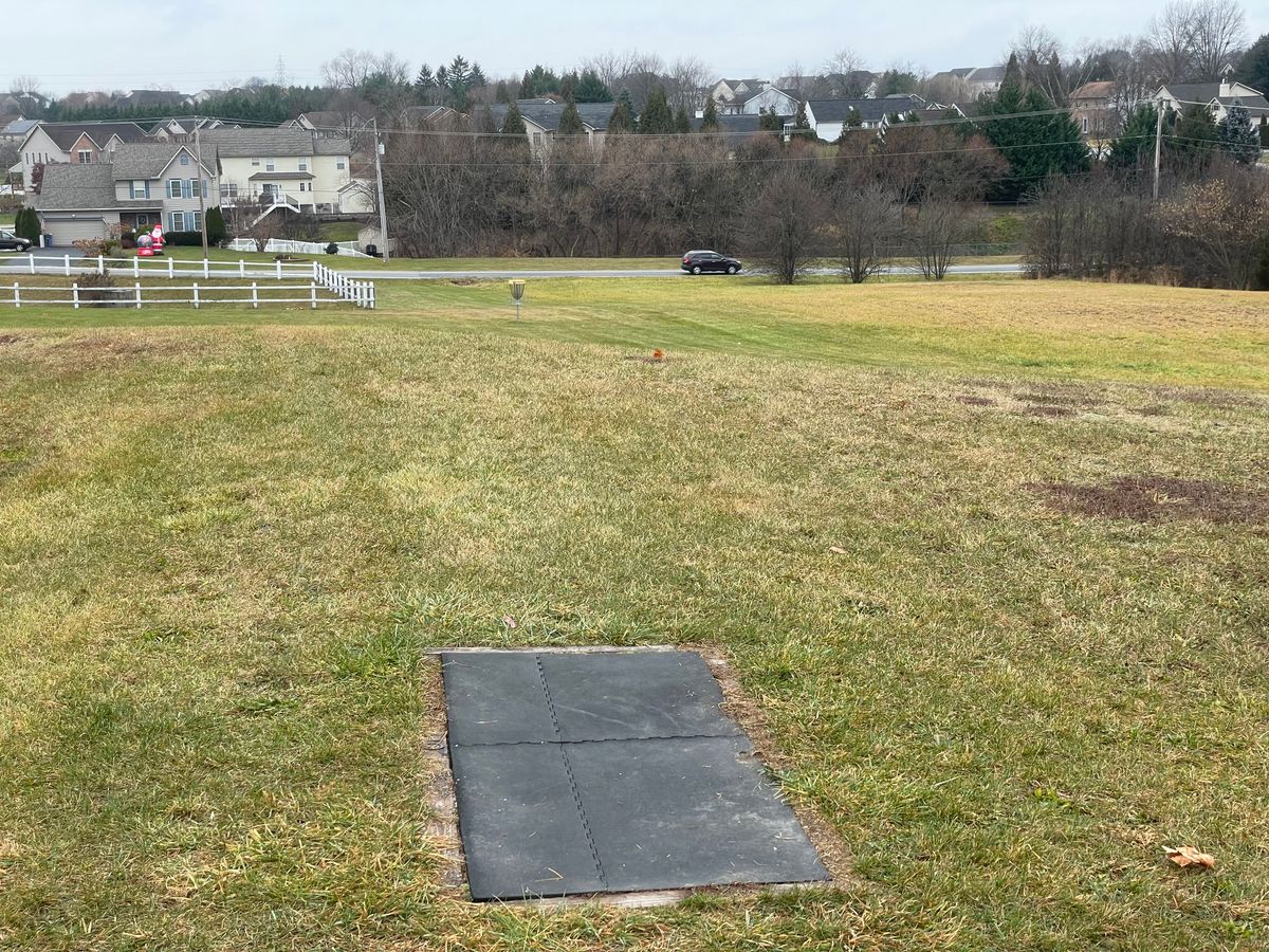 Hole 5 tee