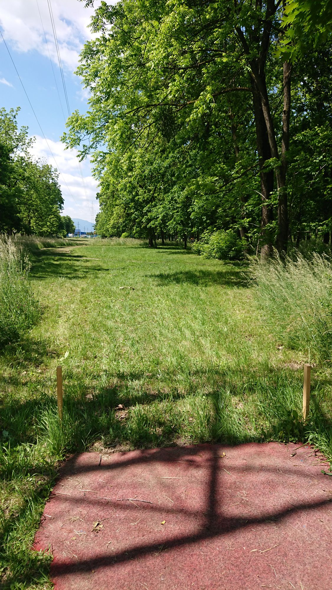 Hole 3