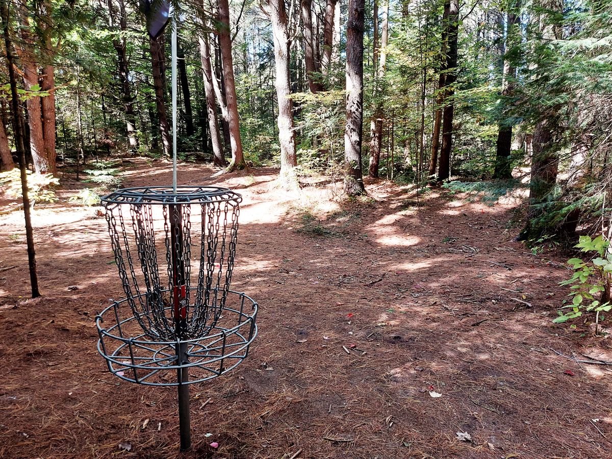 Reverse back up the fairway 🌳 🌲  🌳 🌲