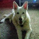 User avatar image