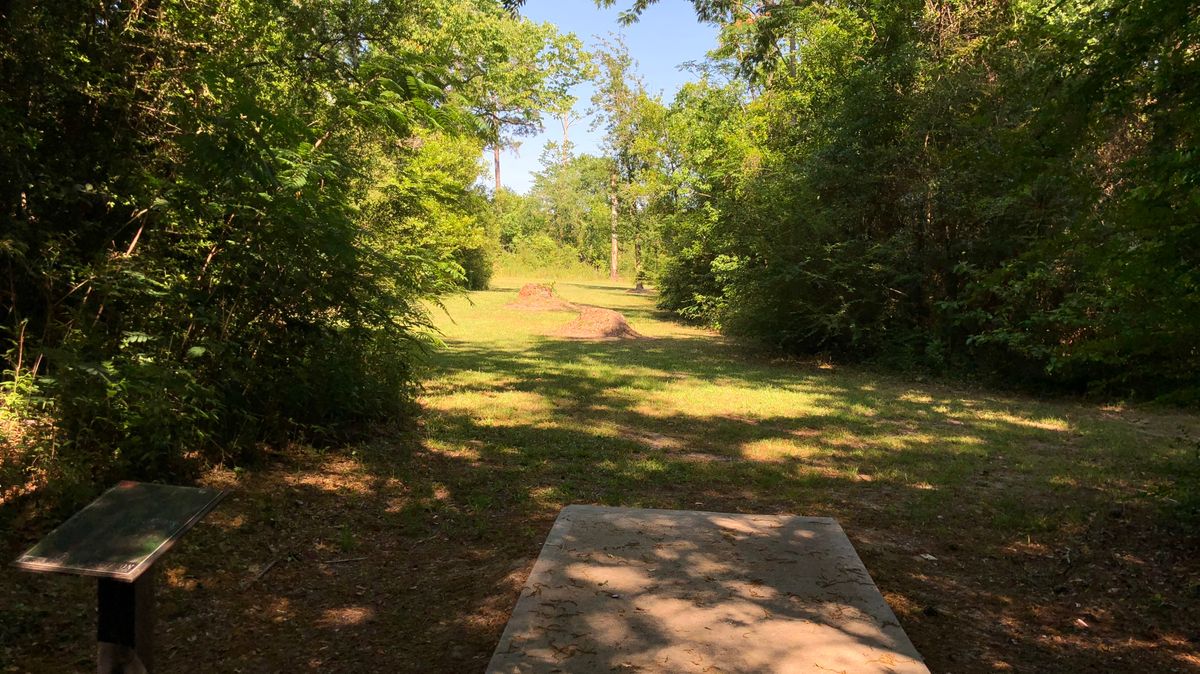 Hole 7