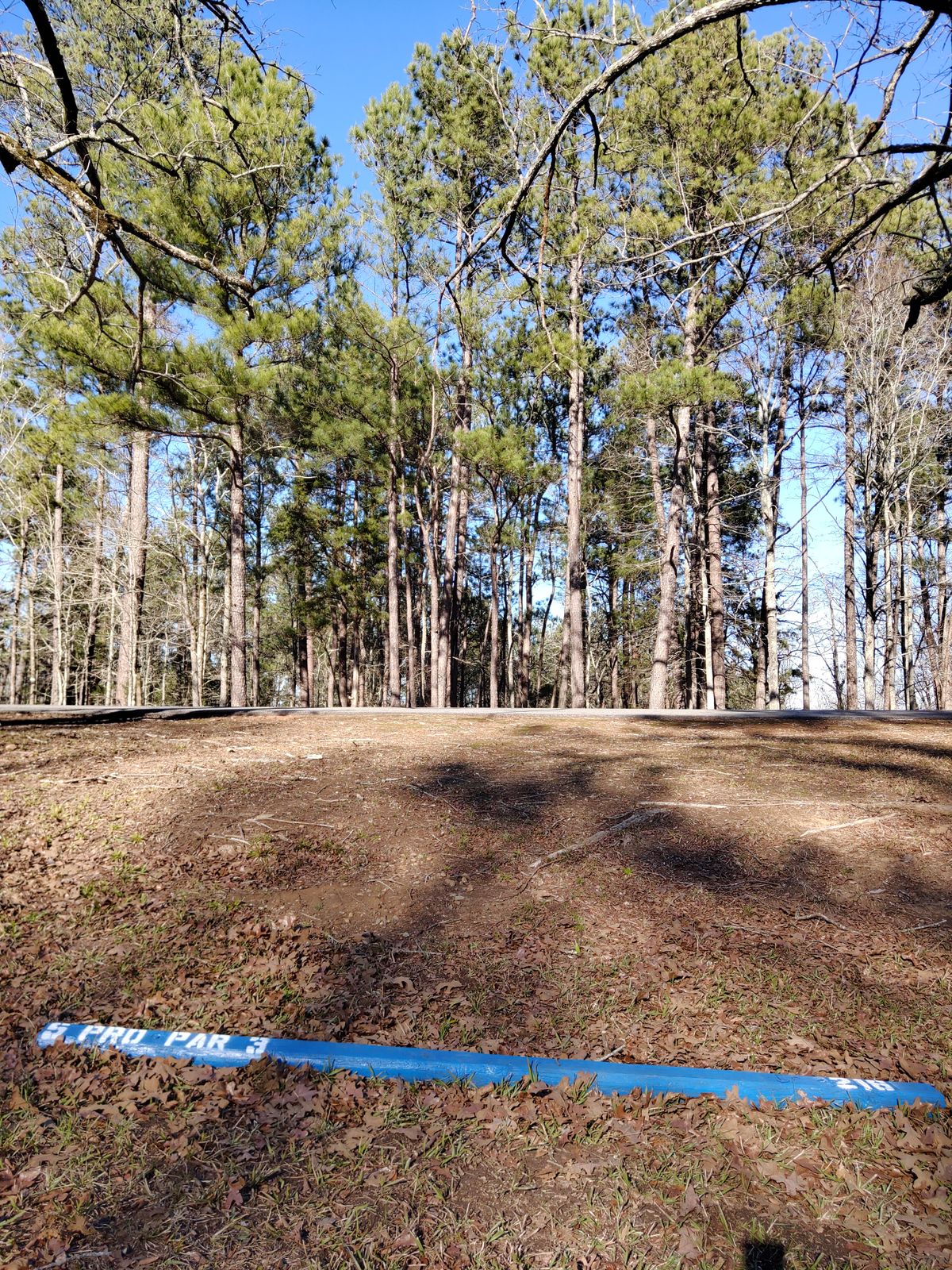 Hole 5 Pro Tee
