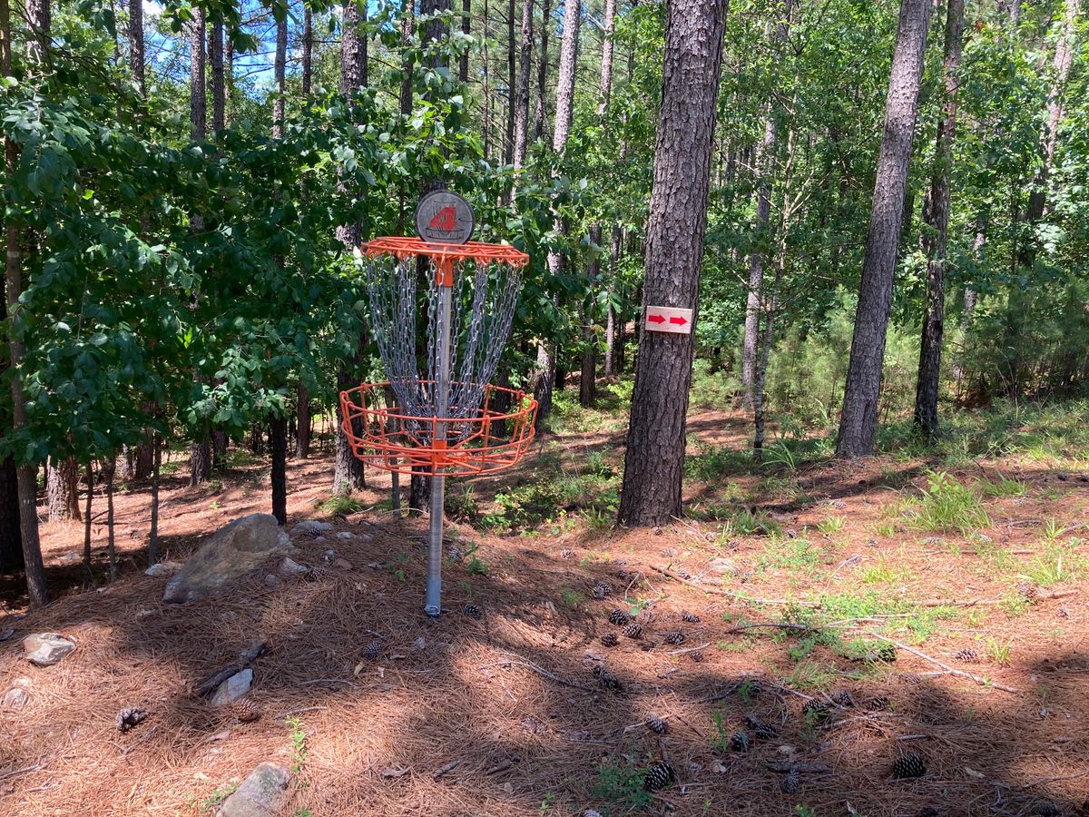 Hole 4 Basket