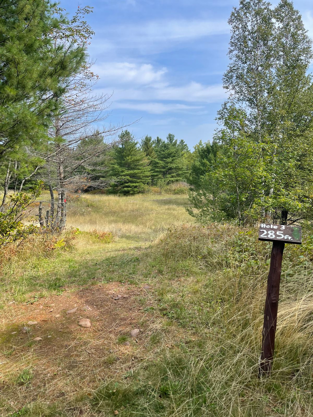 View from Hole 3’s teepad (mistook the gap to be straight ahead between the pines, it’s to the right