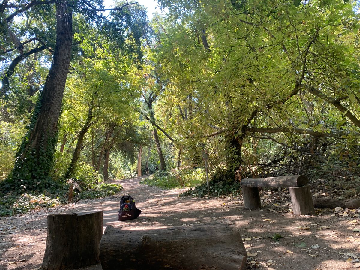 After leaving LA, this park feels amazing!
