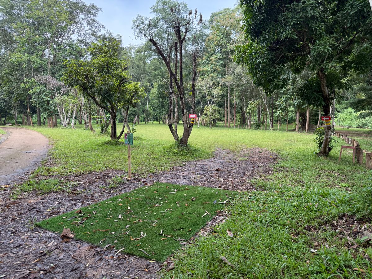 Hole 1 teepad area.