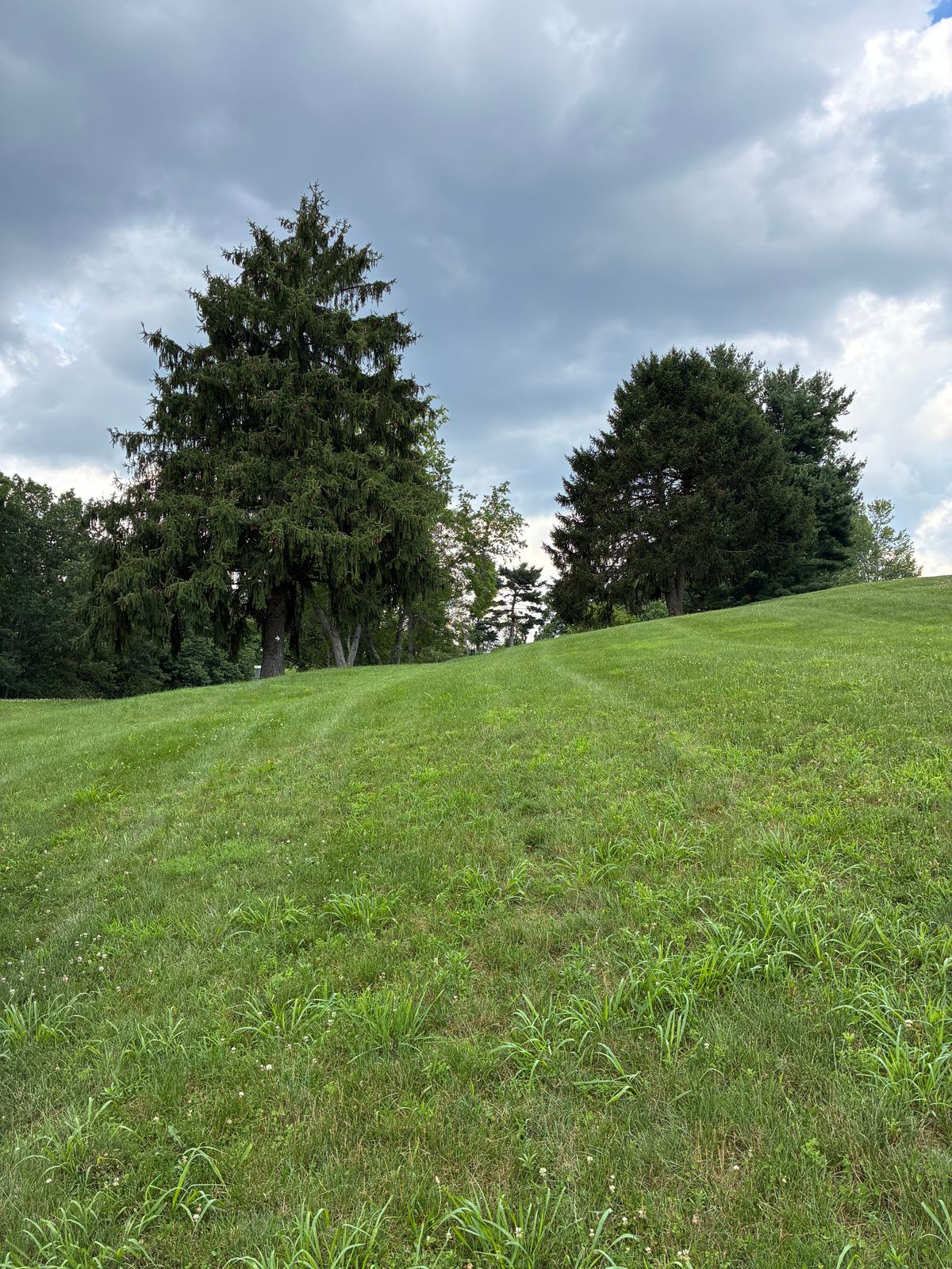 #18 Tee box.