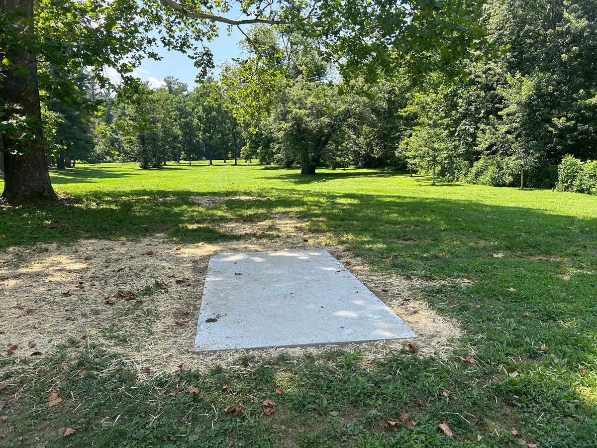 A wider look at #8
