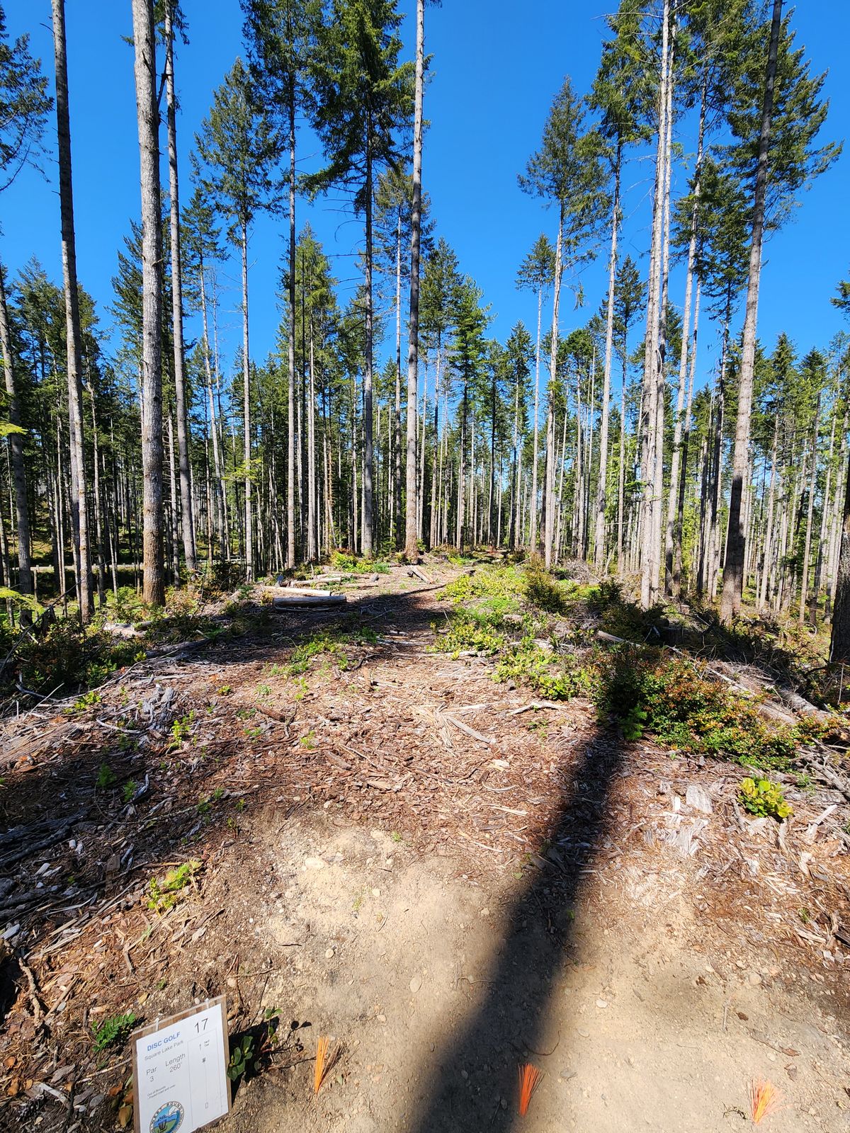 Hole 17 Fairway