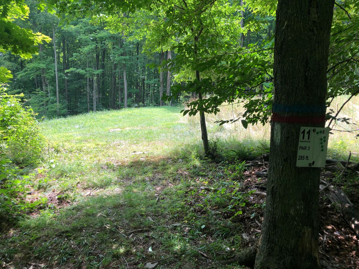 #11B/R (Beware of possible pedestrians crossing the fairway)