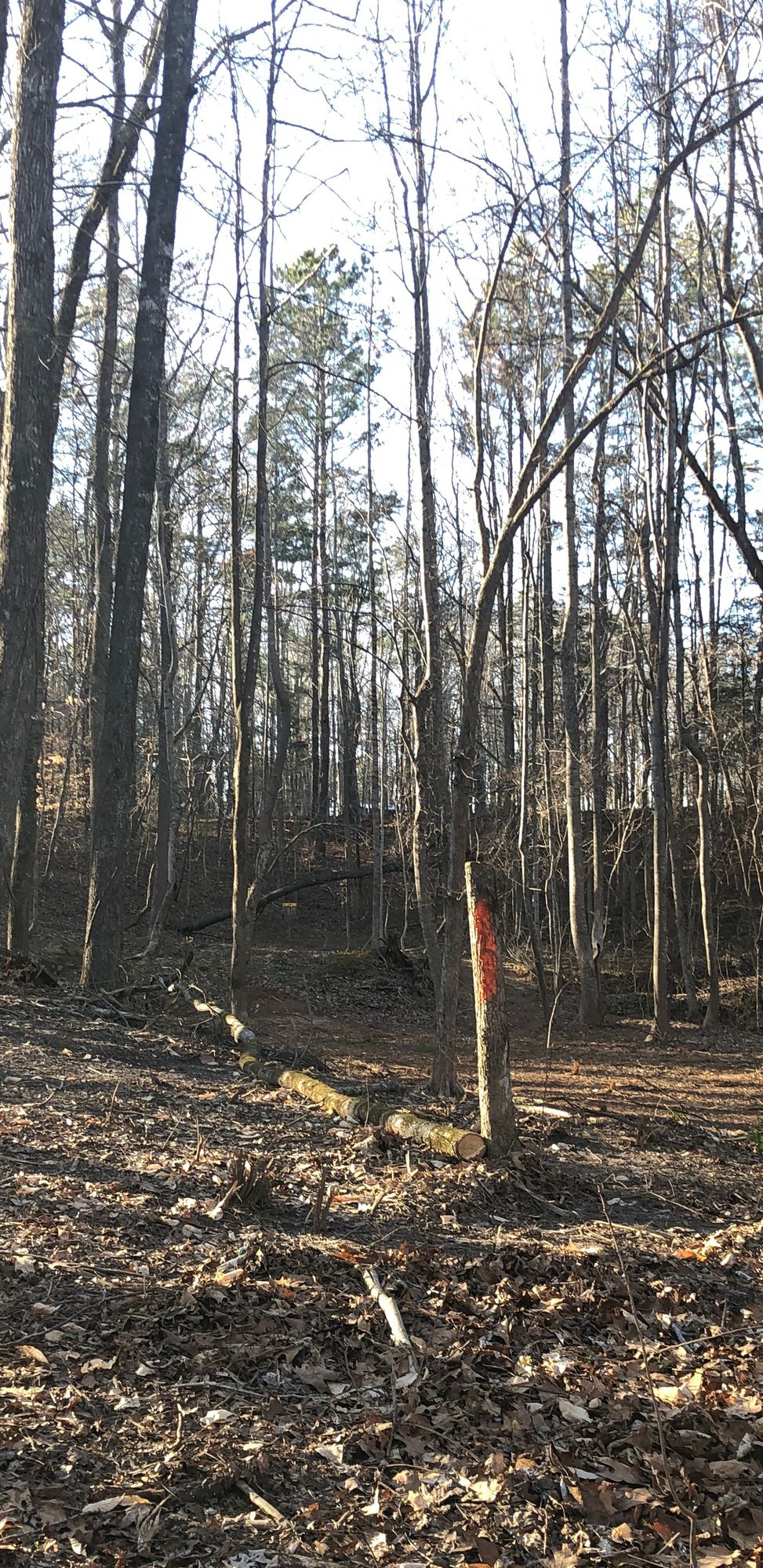 Hole 9 Approach