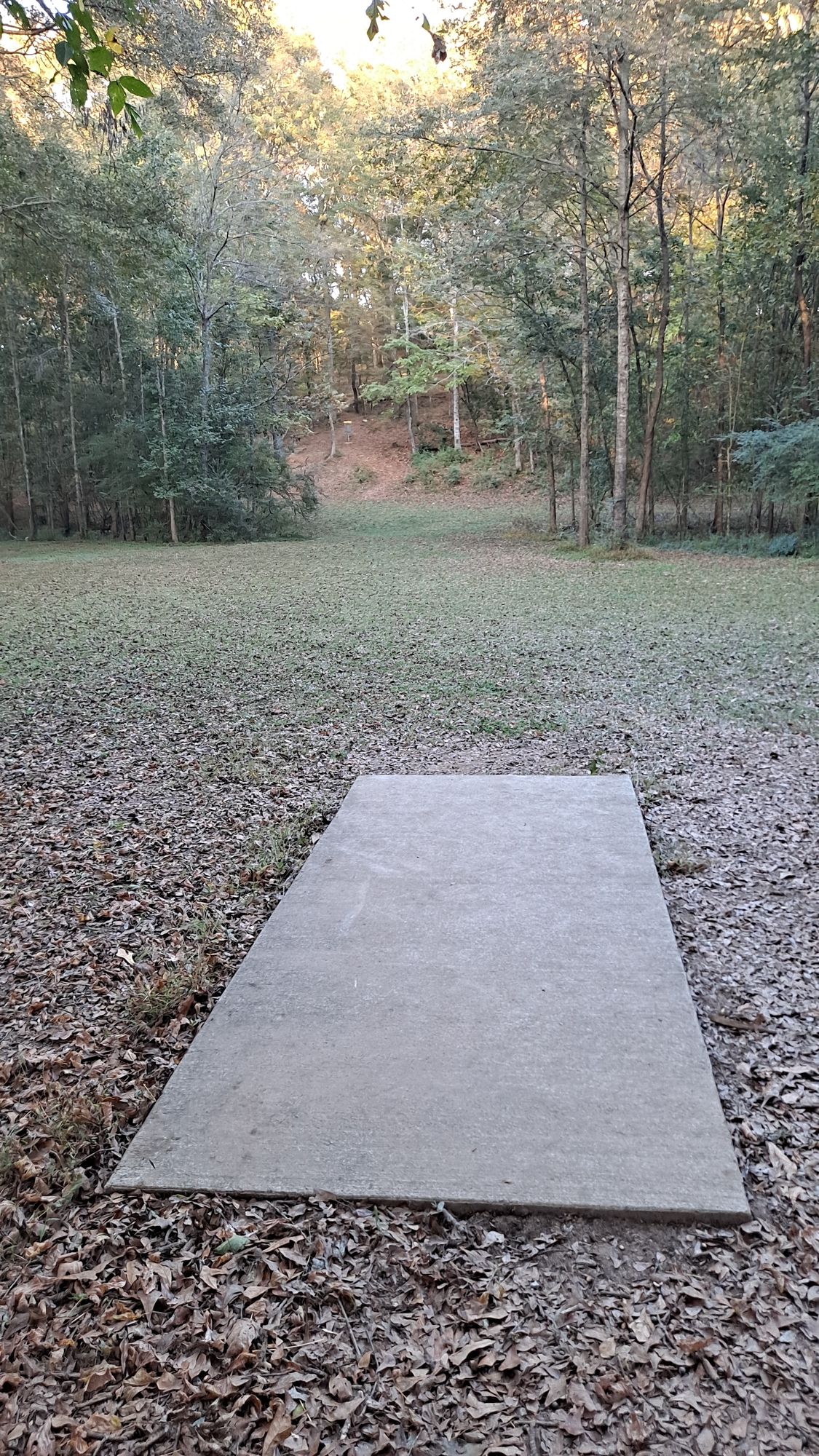 #16 short teepad 215 feet par3