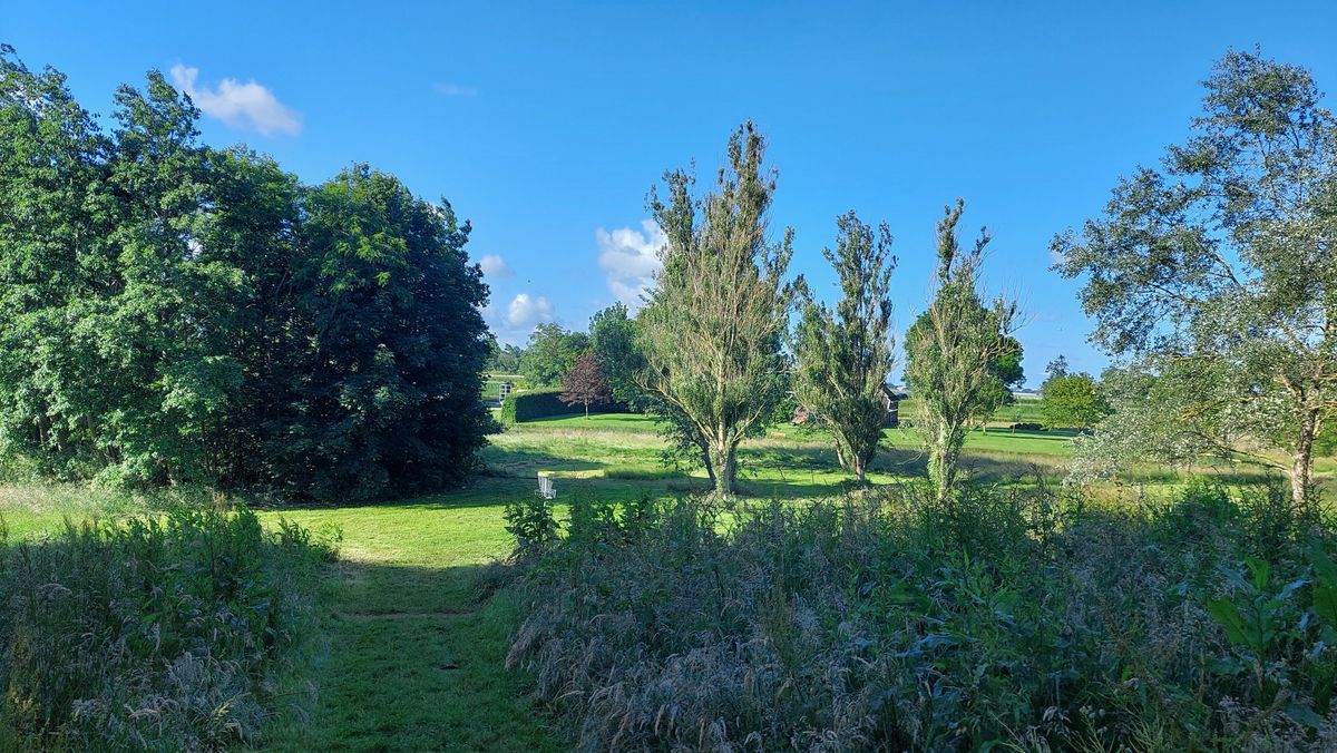 Hole 5 basket