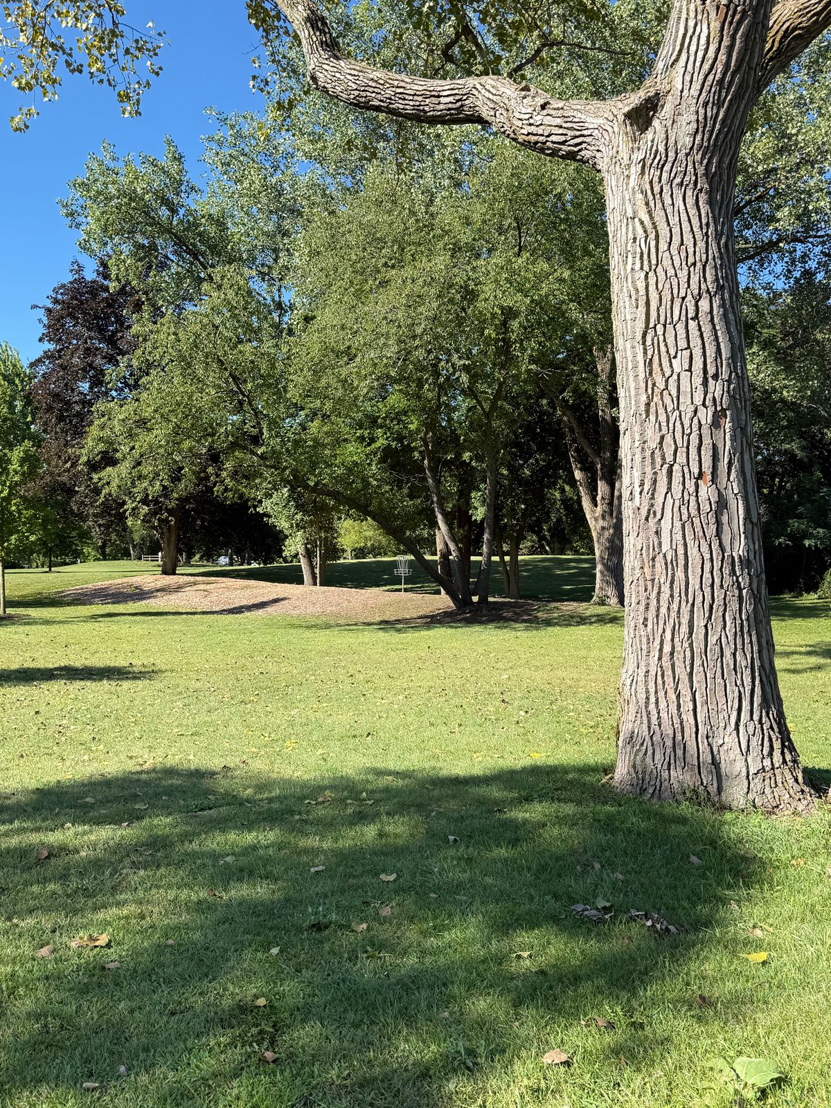 Tee 6 approach