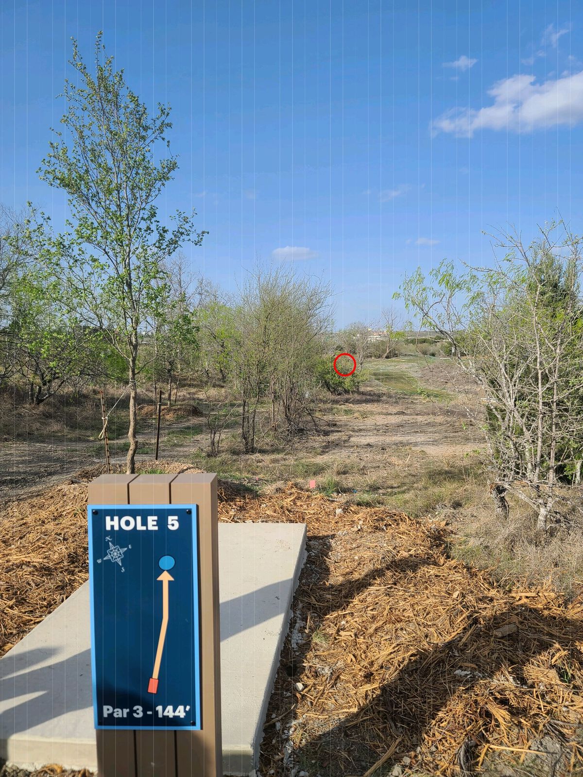 Dog leg left with pin hidden behind bushes from tee