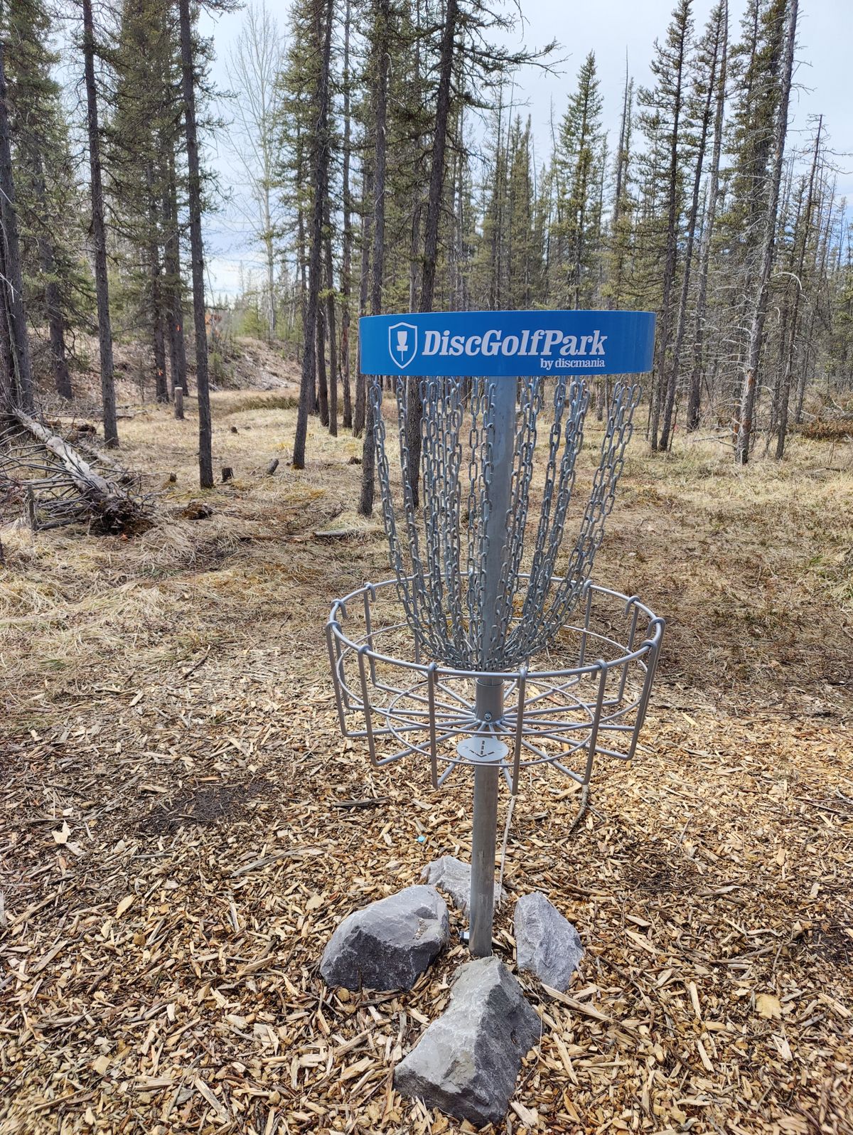 Great brand new baskets!